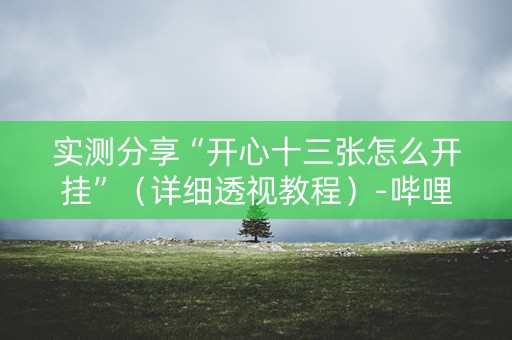 实测分享“开心十三张怎么开挂”（详细透视教程）-哔哩哔哩