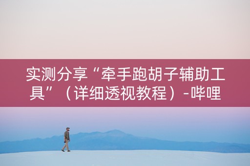 实测分享“牵手跑胡子辅助工具”（详细透视教程）-哔哩哔哩