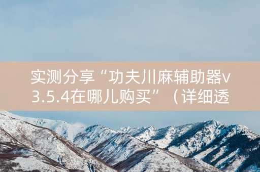 实测分享“功夫川麻辅助器v3.5.4在哪儿购买”（详细透视教程）-哔哩哔哩