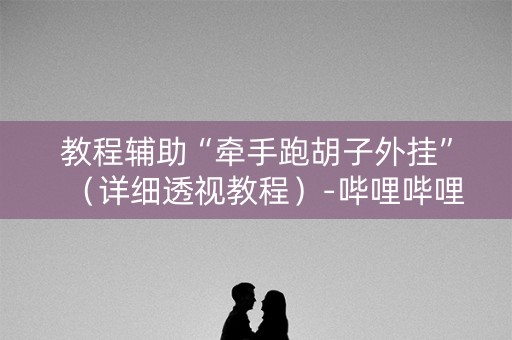 教程辅助“牵手跑胡子外挂”（详细透视教程）-哔哩哔哩