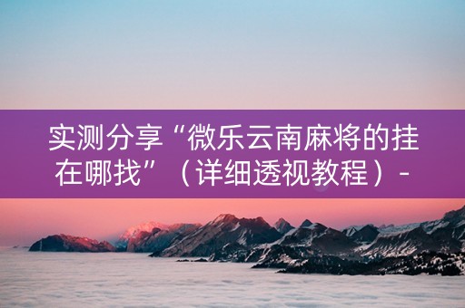 实测分享“微乐云南麻将的挂在哪找”（详细透视教程）-哔哩哔哩