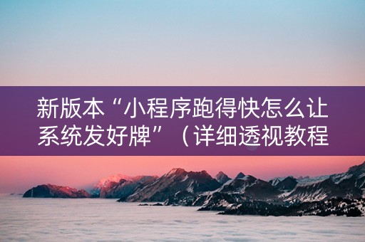 新版本“小程序跑得快怎么让系统发好牌”（详细透视教程）-哔哩哔哩