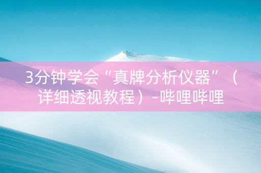 3分钟学会“真牌分析仪器”（详细透视教程）-哔哩哔哩