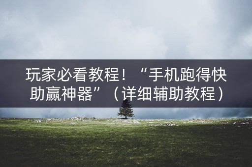 玩家必看教程！“手机跑得快助赢神器”（详细辅助教程）-哔哩哔哩