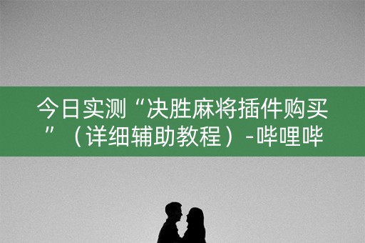 今日实测“决胜麻将插件购买”（详细辅助教程）-哔哩哔哩
