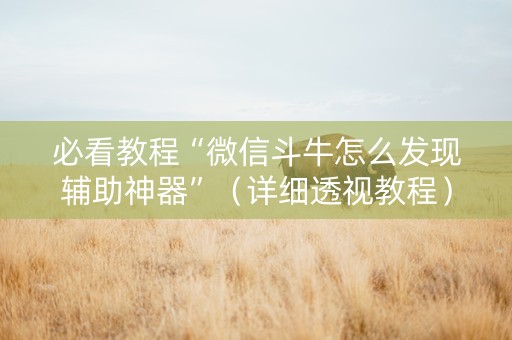 必看教程“微信斗牛怎么发现辅助神器”（详细透视教程）-哔哩哔哩