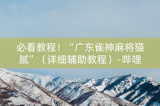 必看教程！“广东雀神麻将猫腻”（详细辅助教程）-哔哩哔哩