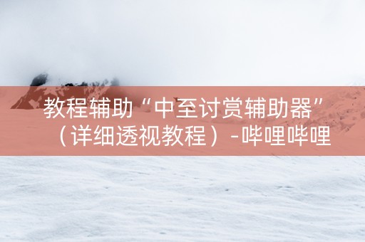 教程辅助“中至讨赏辅助器”（详细透视教程）-哔哩哔哩