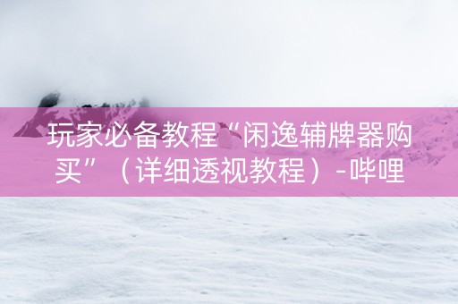 玩家必备教程“闲逸辅牌器购买”（详细透视教程）-哔哩哔哩