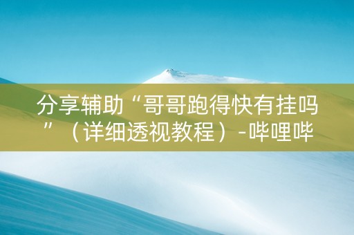 分享辅助“哥哥跑得快有挂吗”（详细透视教程）-哔哩哔哩