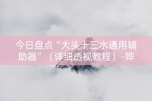 今日盘点“大头十三水通用辅助器”（详细透视教程）-哔哩哔哩