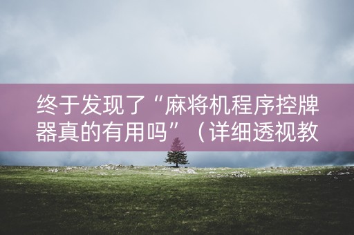终于发现了“麻将机程序控牌器真的有用吗”（详细透视教程）-哔哩哔哩