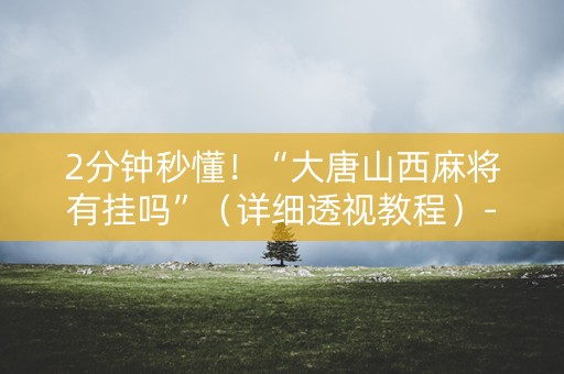 2分钟秒懂！“大唐山西麻将有挂吗”（详细透视教程）-哔哩哔哩