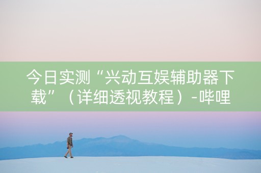 今日实测“兴动互娱辅助器下载”（详细透视教程）-哔哩哔哩