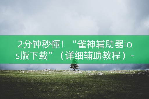 2分钟秒懂！“雀神辅助器ios版下载”（详细辅助教程）-哔哩哔哩
