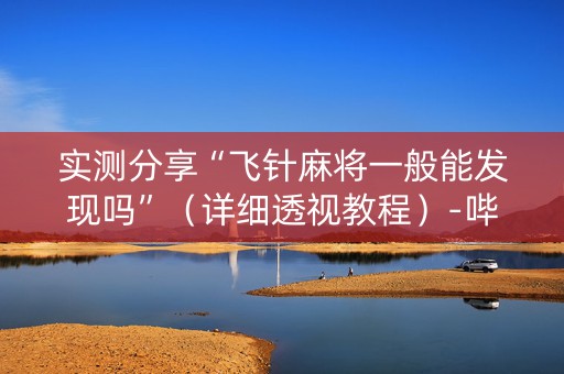 实测分享“飞针麻将一般能发现吗”（详细透视教程）-哔哩哔哩