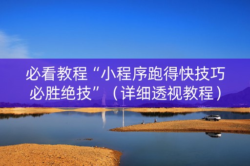 必看教程“小程序跑得快技巧必胜绝技”（详细透视教程）-哔哩哔哩