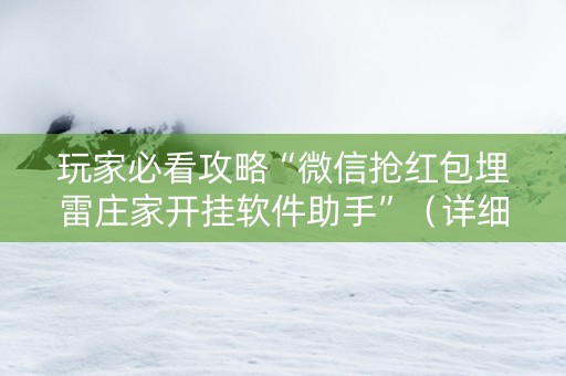 玩家必看攻略“微信抢红包埋雷庄家开挂软件助手”（详细透视教程）-哔哩哔哩