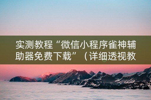 实测教程“微信小程序雀神辅助器免费下载”（详细透视教程）-哔哩哔哩