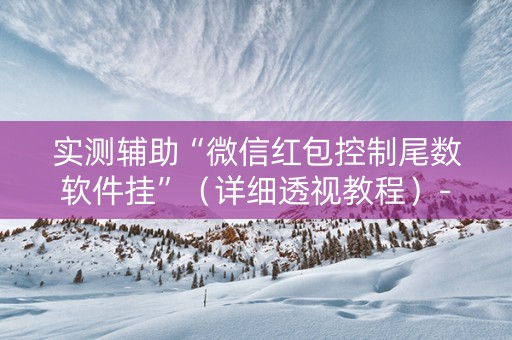 实测辅助“微信红包控制尾数软件挂”（详细透视教程）-哔哩哔哩
