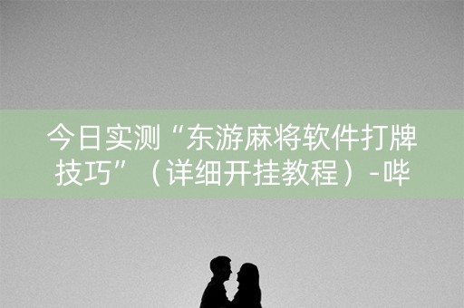 今日实测“东游麻将软件打牌技巧”（详细开挂教程）-哔哩哔哩