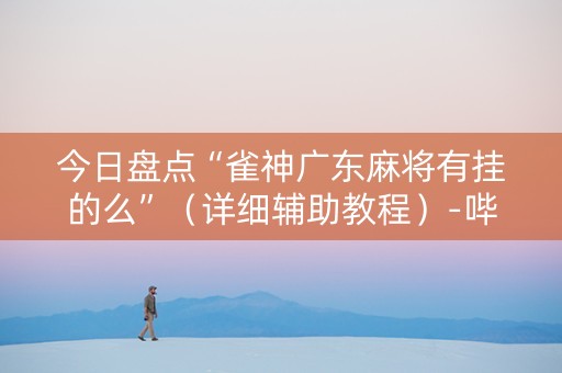 今日盘点“雀神广东麻将有挂的么”（详细辅助教程）-哔哩哔哩