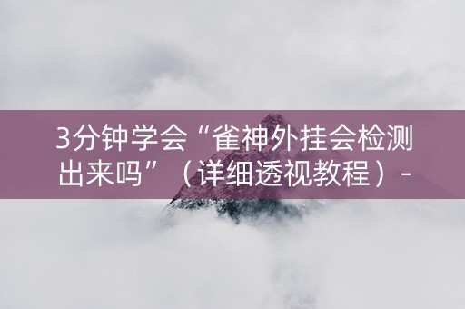 3分钟学会“雀神外挂会检测出来吗”（详细透视教程）-哔哩哔哩
