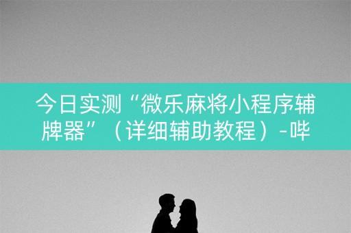 今日实测“微乐麻将小程序辅牌器”（详细辅助教程）-哔哩哔哩