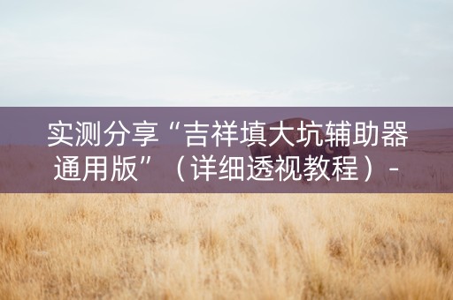 实测分享“吉祥填大坑辅助器通用版”（详细透视教程）-哔哩哔哩