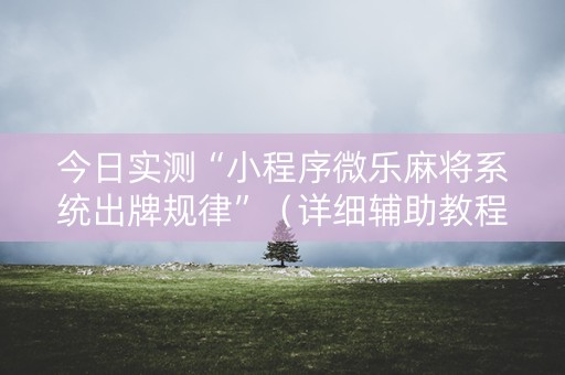今日实测“小程序微乐麻将系统出牌规律”（详细辅助教程）-哔哩哔哩