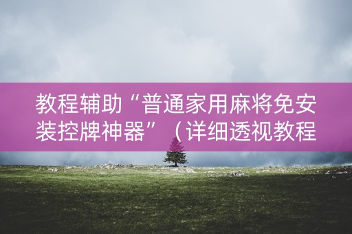 教程辅助“普通家用麻将免安装控牌神器”（详细透视教程）-哔哩哔哩