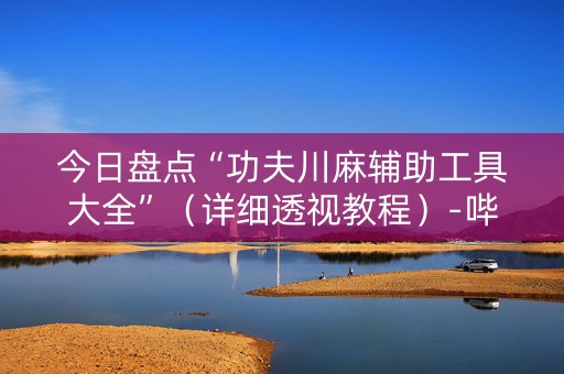 今日盘点“功夫川麻辅助工具大全”（详细透视教程）-哔哩哔哩