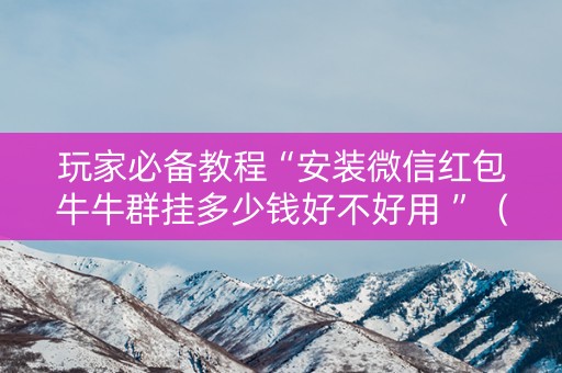 玩家必备教程“安装微信红包牛牛群挂多少钱好不好用 ”（详细透视教程）-哔哩哔哩