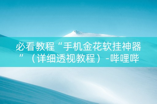必看教程“手机金花软挂神器”（详细透视教程）-哔哩哔哩