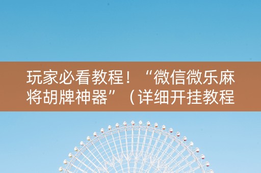 玩家必看教程！“微信微乐麻将胡牌神器”（详细开挂教程）-哔哩哔哩