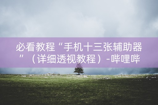 必看教程“手机十三张辅助器”（详细透视教程）-哔哩哔哩