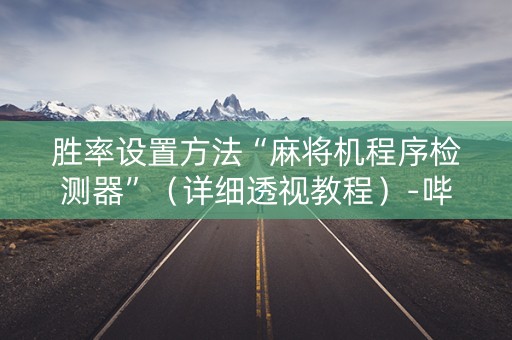 胜率设置方法“麻将机程序检测器”（详细透视教程）-哔哩哔哩