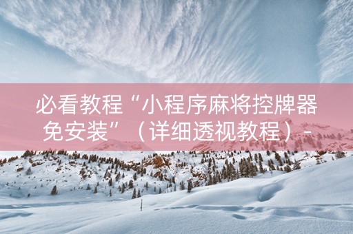 必看教程“小程序麻将控牌器免安装”（详细透视教程）-哔哩哔哩