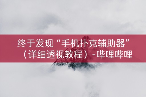 终于发现“手机扑克辅助器”（详细透视教程）-哔哩哔哩
