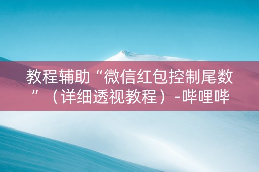 教程辅助“微信红包控制尾数”（详细透视教程）-哔哩哔哩