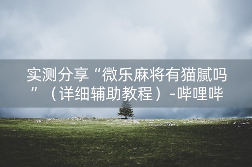 实测分享“微乐麻将有猫腻吗”（详细辅助教程）-哔哩哔哩