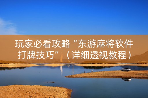 玩家必看攻略“东游麻将软件打牌技巧”（详细透视教程）-哔哩哔哩