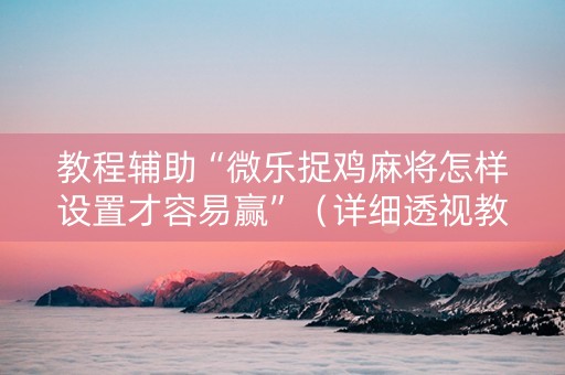 教程辅助“微乐捉鸡麻将怎样设置才容易赢”（详细透视教程）-哔哩哔哩