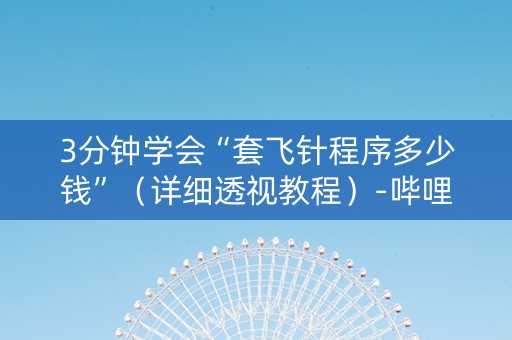 3分钟学会“套飞针程序多少钱”（详细透视教程）-哔哩哔哩
