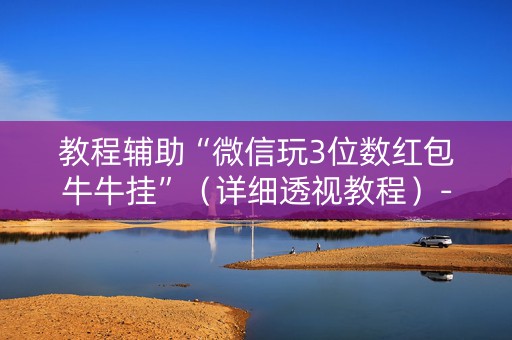 教程辅助“微信玩3位数红包牛牛挂”（详细透视教程）-哔哩哔哩