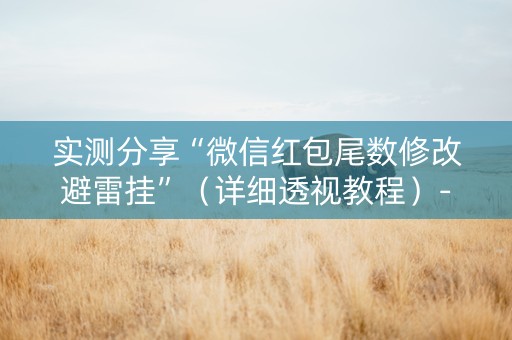 实测分享“微信红包尾数修改避雷挂”（详细透视教程）-哔哩哔哩