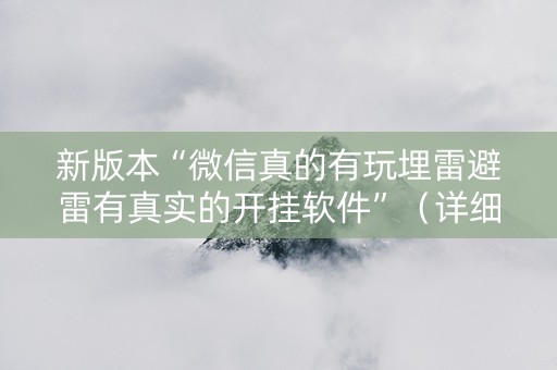 新版本“微信真的有玩埋雷避雷有真实的开挂软件”（详细透视教程）-哔哩哔哩