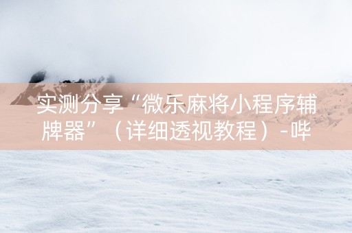 实测分享“微乐麻将小程序辅牌器”（详细透视教程）-哔哩哔哩