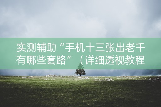 实测辅助“手机十三张出老千有哪些套路”（详细透视教程）-哔哩哔哩