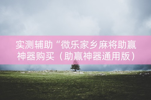 实测辅助“微乐家乡麻将助赢神器购买（助赢神器通用版）